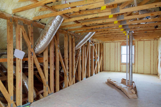 Best Specialty Insulation in Litchfield, MN