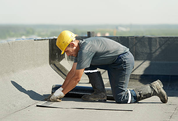 Best Types of Insulation in Litchfield, MN