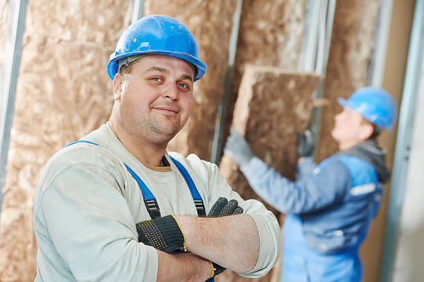 Best Insulation Materials and Products in Litchfield, MN